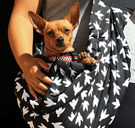 Kiwi Carry Bag Bolsa de paseo para perro mini o cachorro - Imagen 2
